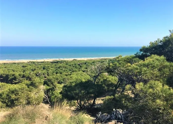 別荘 Casa Jirafa Con La Vista